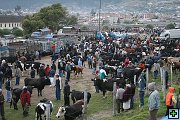 thn_6-Otavalo (8).jpg